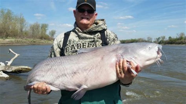 Catfish Hunter