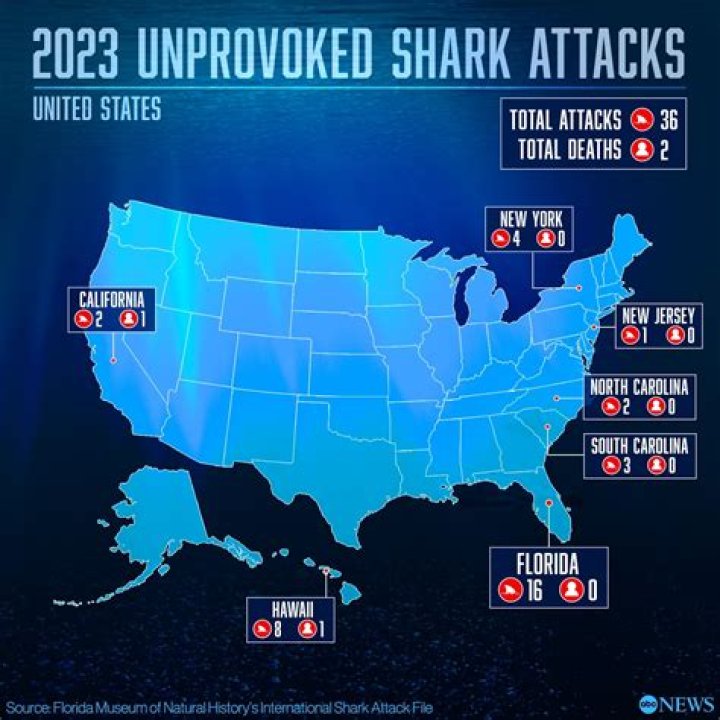 How Many Shark Attacks In Hilton Head 2023 South Carolina?