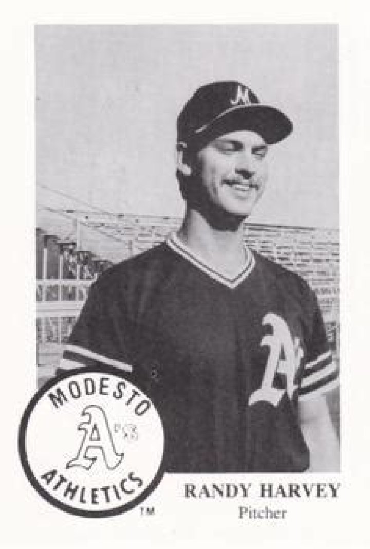 Randy Harvey