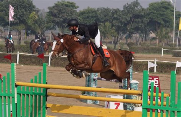Sehaj Singh Virk